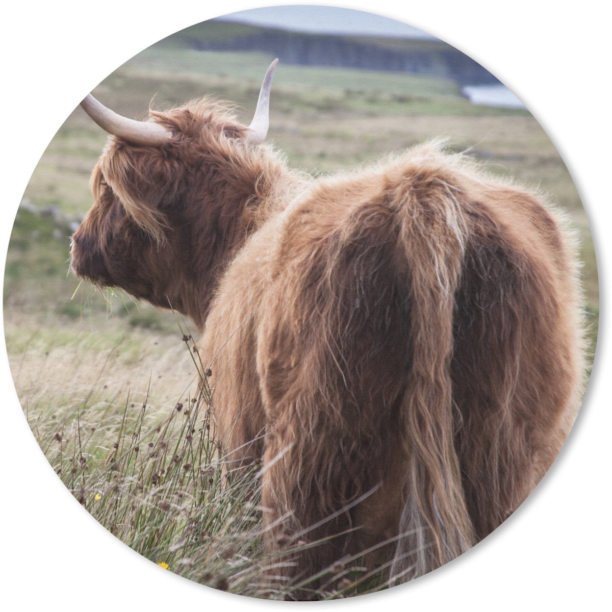 Muismat rond 40x40 cm - Mousepad Schotse Hooglander - Natuur - Zee - Ronde muismatten