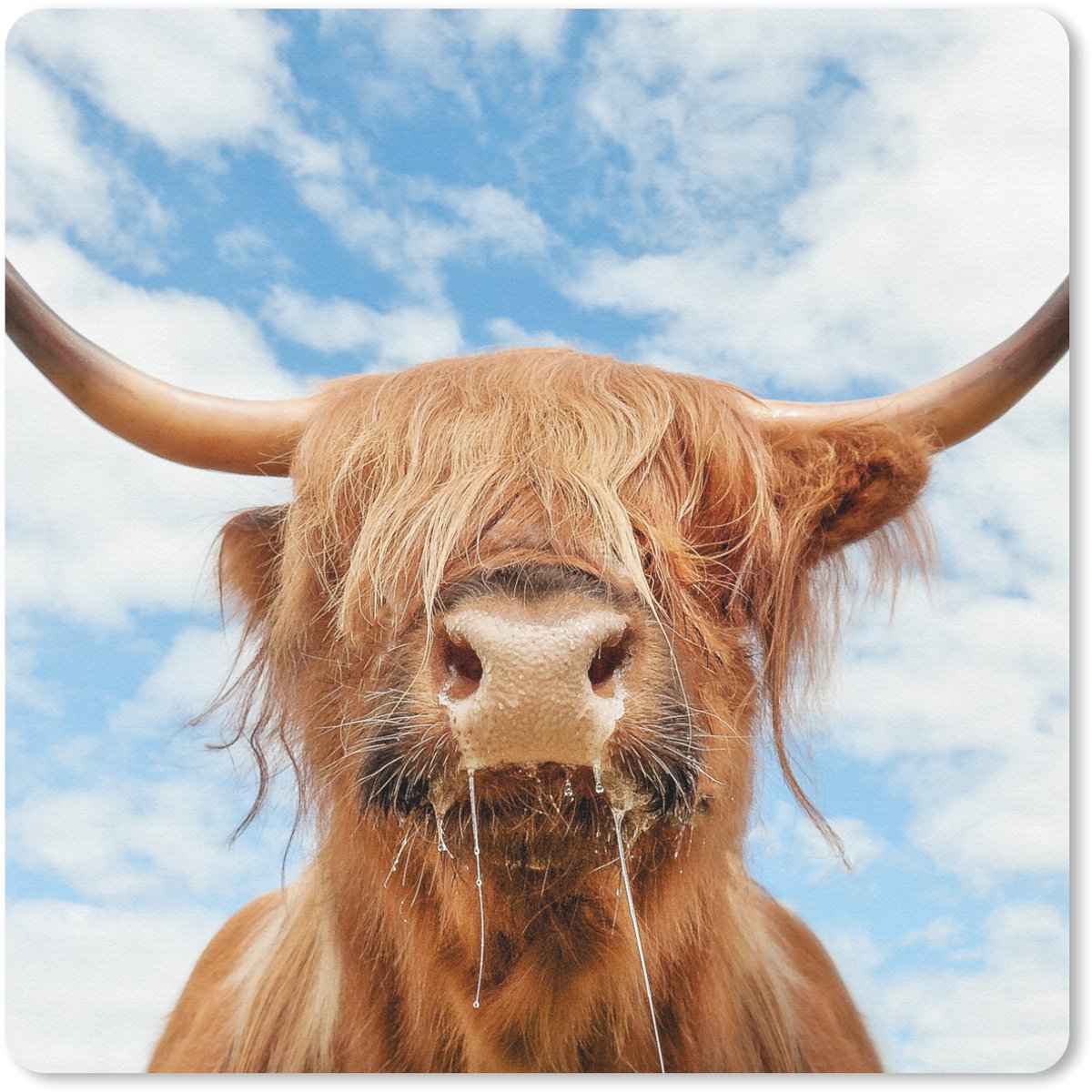 Muismat 30x30 cm - Mousepad Schotse Hooglander - Wolk - Dieren - Muismatten