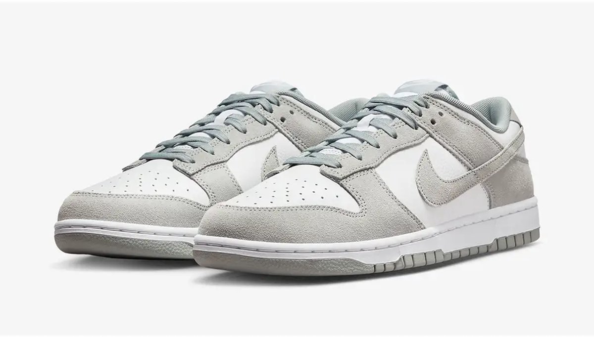 Nike Dunk Low Retro SE Leather/Suede – /Light Pumice Dunk Lifestyle Heren Sneakers voor Mannen Wit