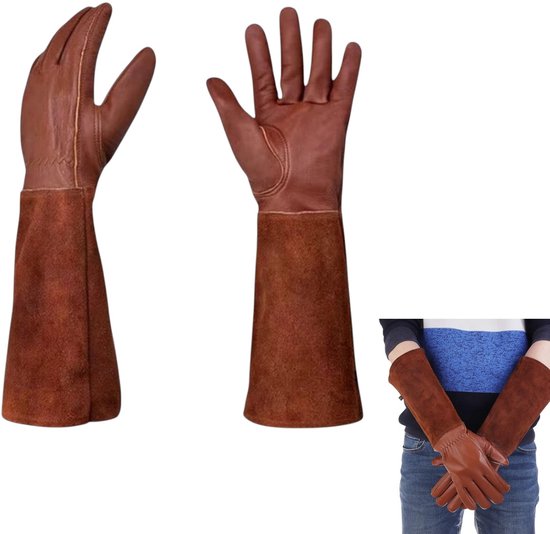 Bruine leren tuinhandschoenen met lange schachten, die de onderarm bedekken. Twee handschoenen naast elkaar, waarvan één omgekeerd. Een model draagt de handschoenen.