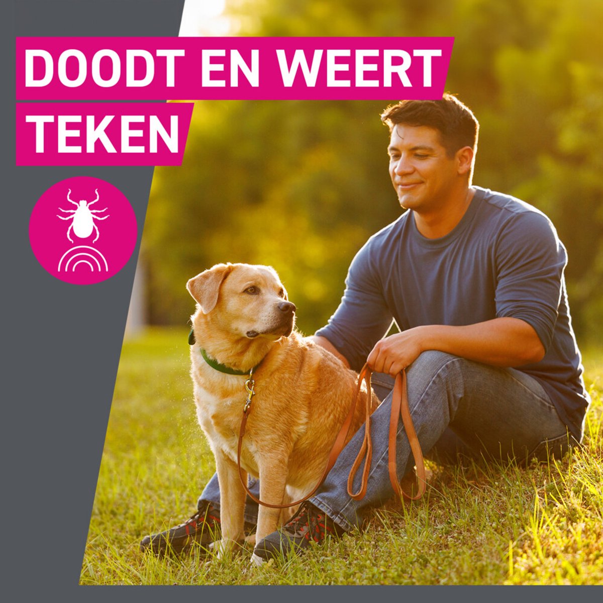 Frontline Tri-Act Anti Vlooien en Teken Druppels XL - 2 x 3 pipetten - Voordeelverpakking