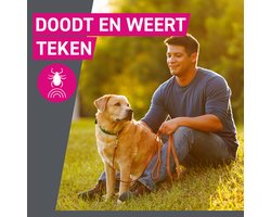 2x Frontline Tri-Act Anti Vlooien en Teken Druppels XL 3 pipetten