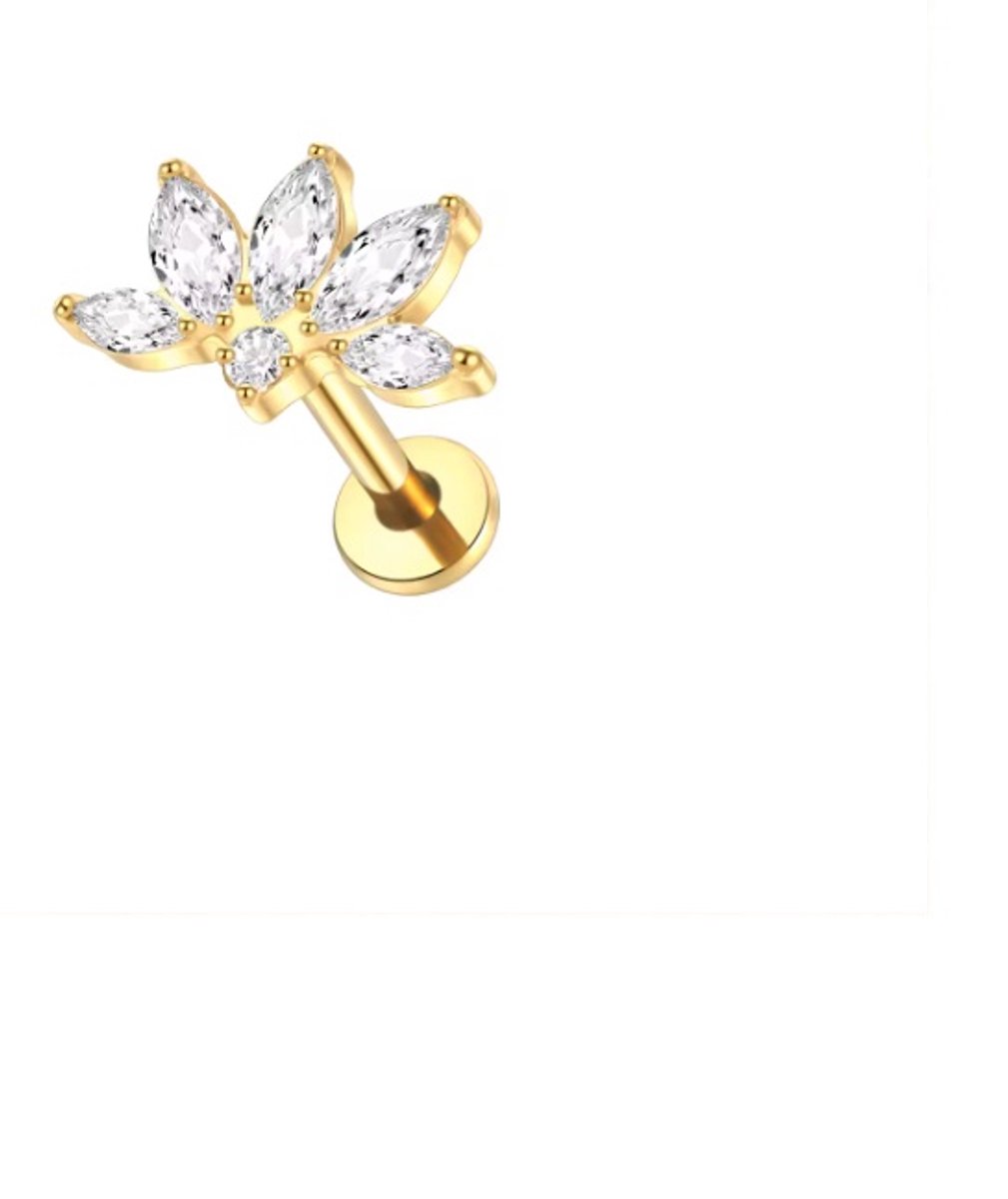 Piercing voor Oor - Kleur: Goud - Formaat: 12 x 6 MM - Titanium - Tragus / Kraakbeen / Helix / Conch - Oorpiercing - Piercing Sieraad - Hoge Kwaliteit - Labret Piercing - Luxe Sieraad - Oorbellen