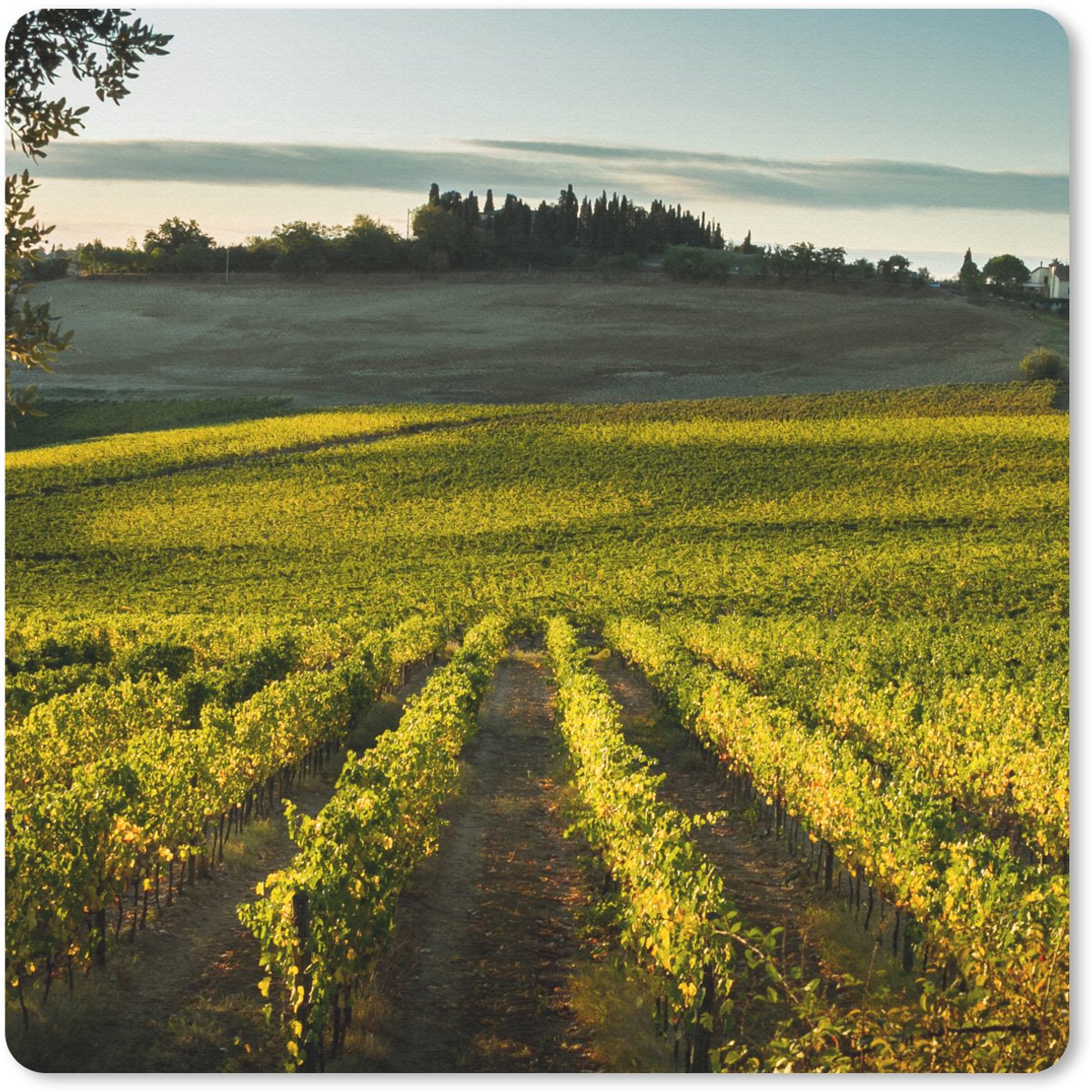 Muismat 20x20 cm - Mousepad Toscane - Landschap - Wijn - Muismatten