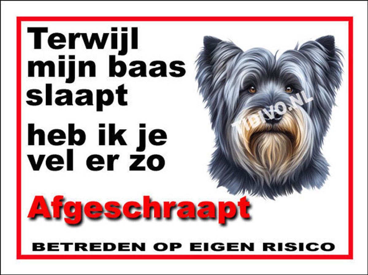 Skye Terrier 15