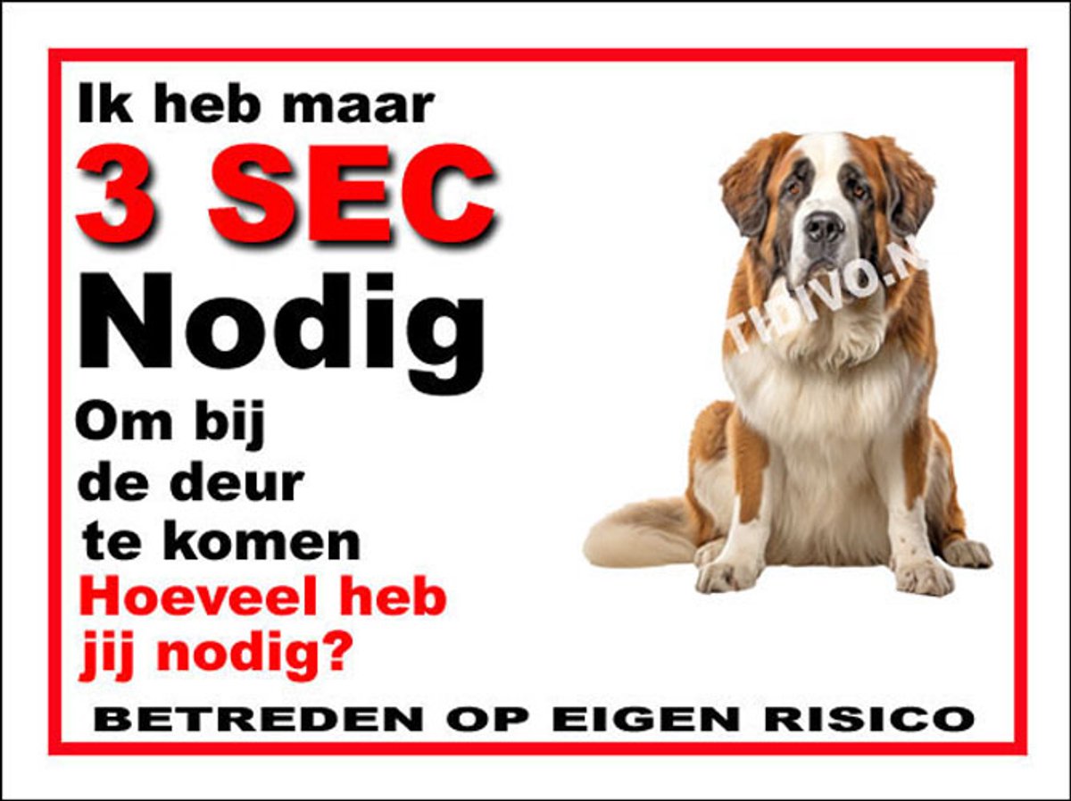 Sint Bernard 6