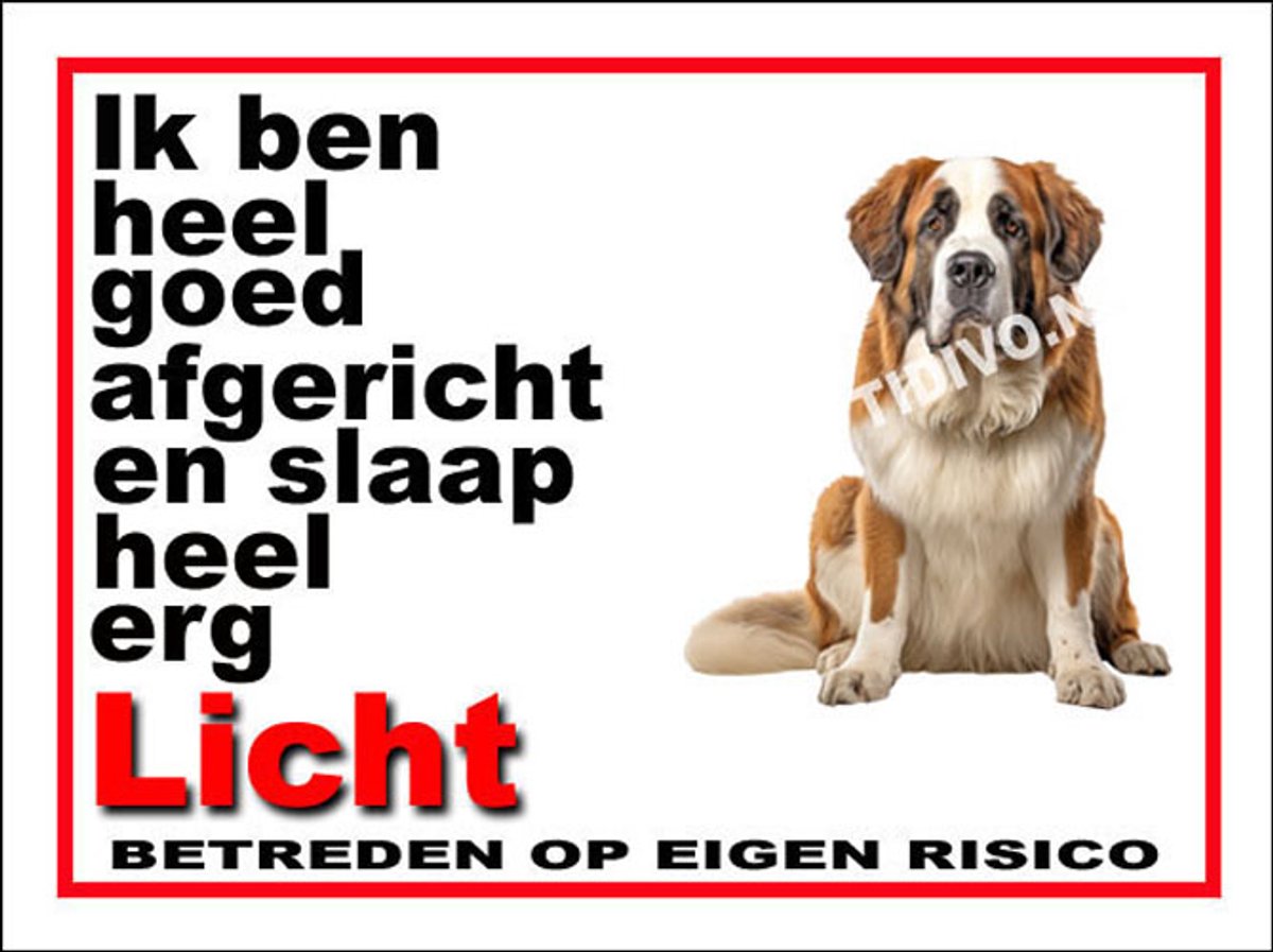 Sint Bernard 4