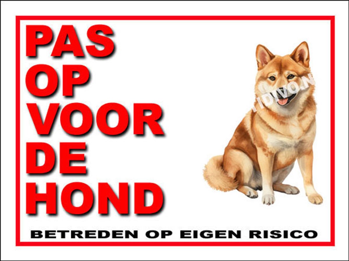 Shiba 13