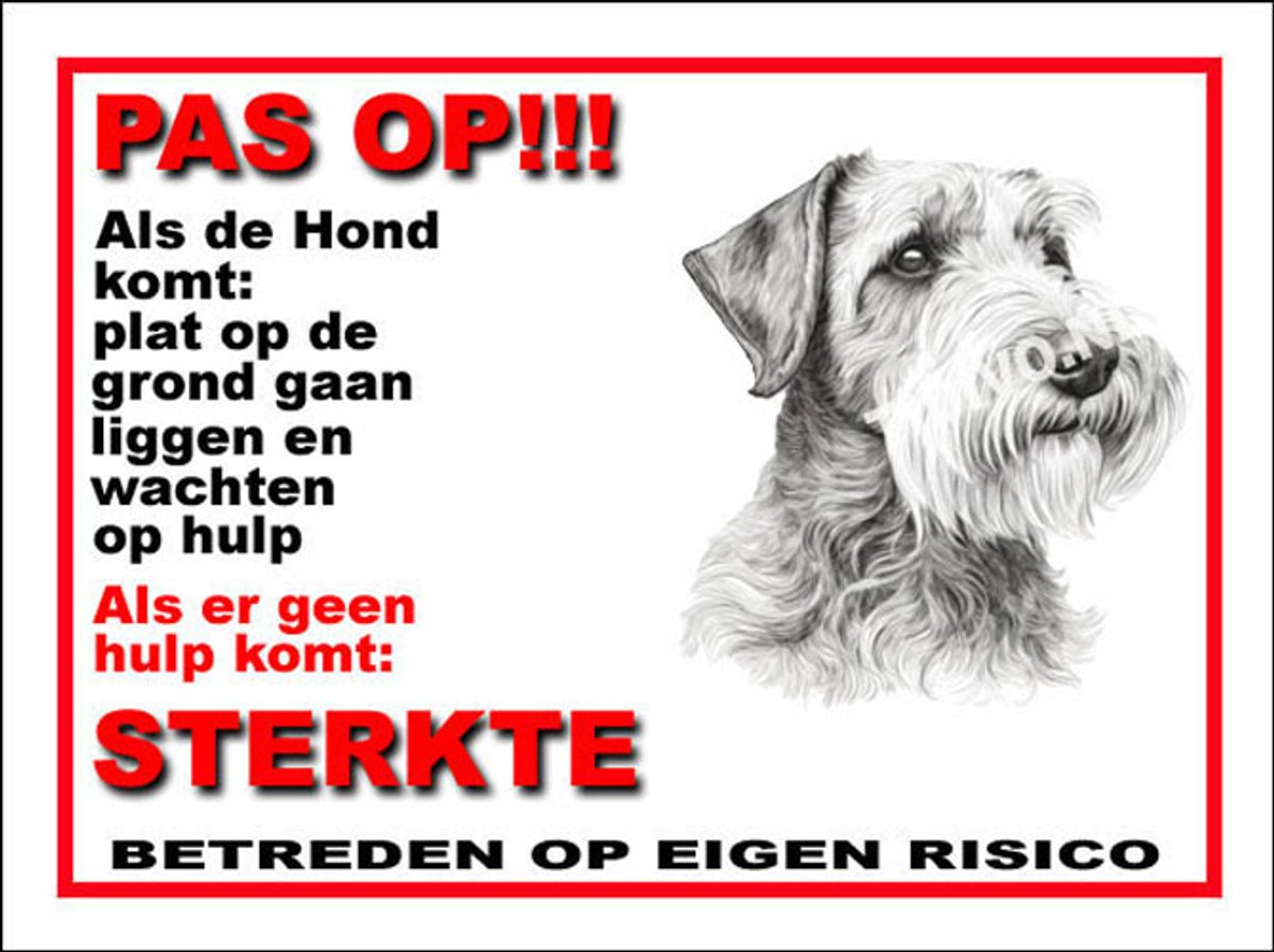 Sealyham Terrier 12