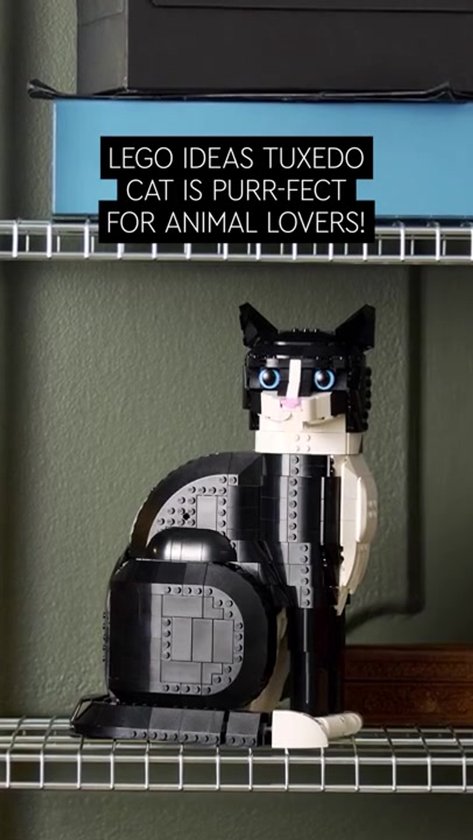 LEGO Ideas Chat Zwart et blanc - 21349