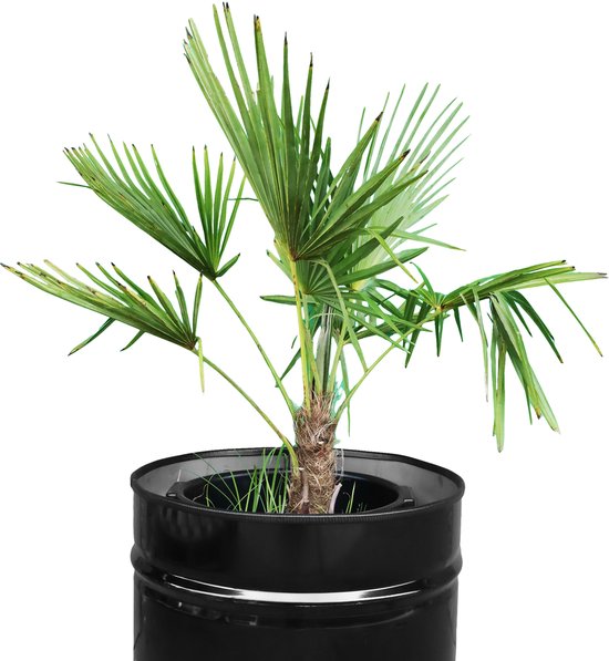 Jardinière industrielle en métal noir de 100 litres avec cuve intérieure pour usage intérieur et extérieur 57x57x43