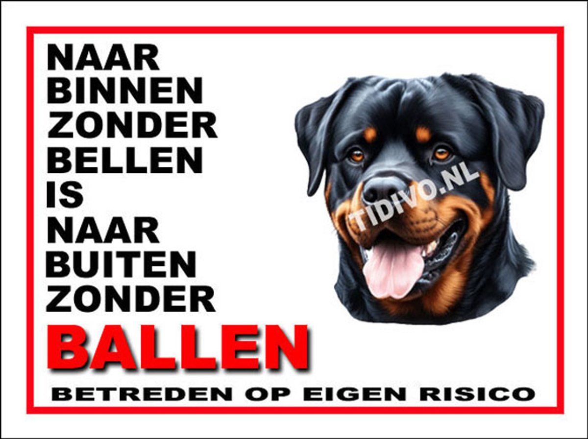 Rottweiler 11