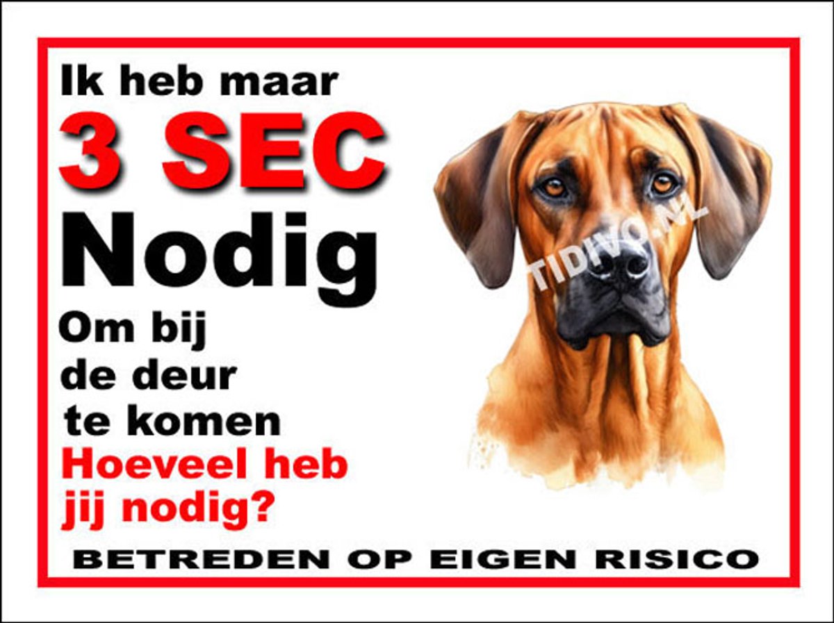 Rhodesian Ridgeback 6
