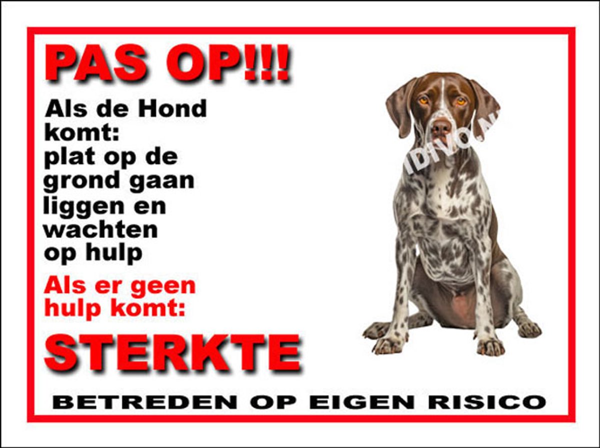 Pointer 12