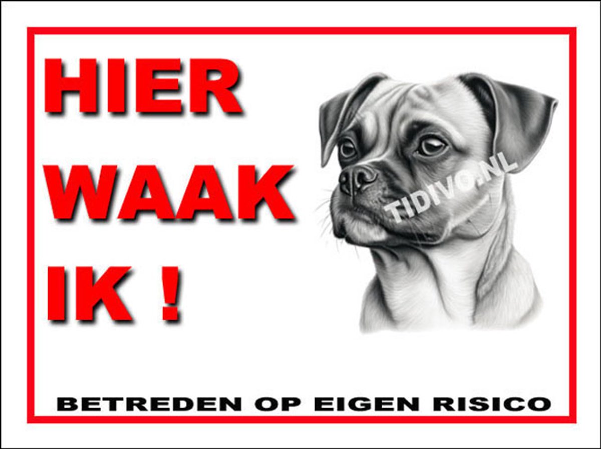 Puggle 3