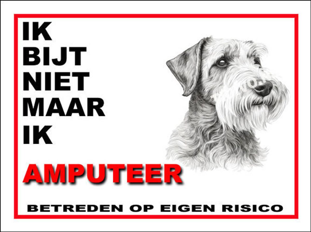 Sealyham Terrier 5