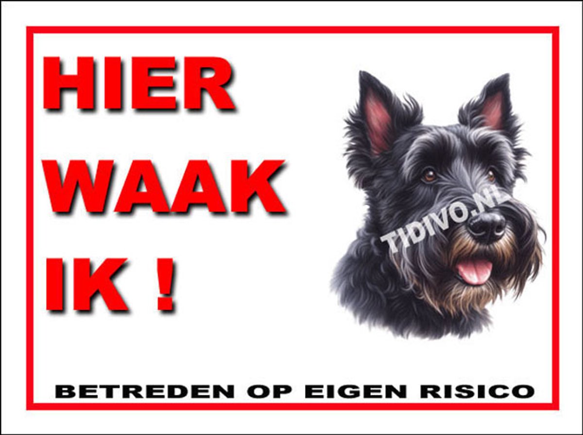 Schotsche Terrier 3