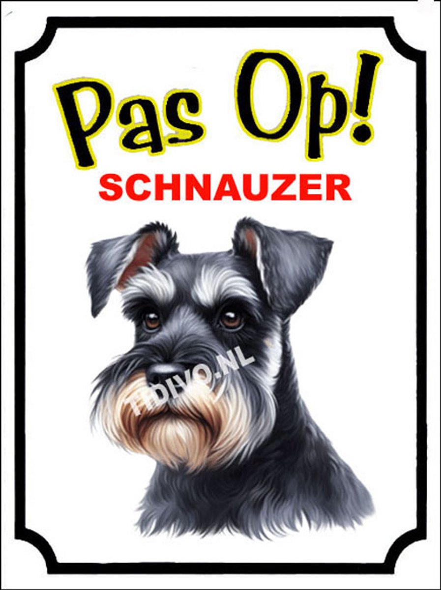 Schnauzer 16