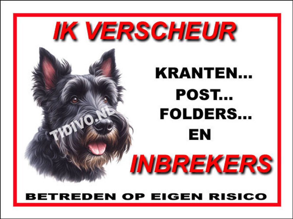 Schotsche Terrier 8
