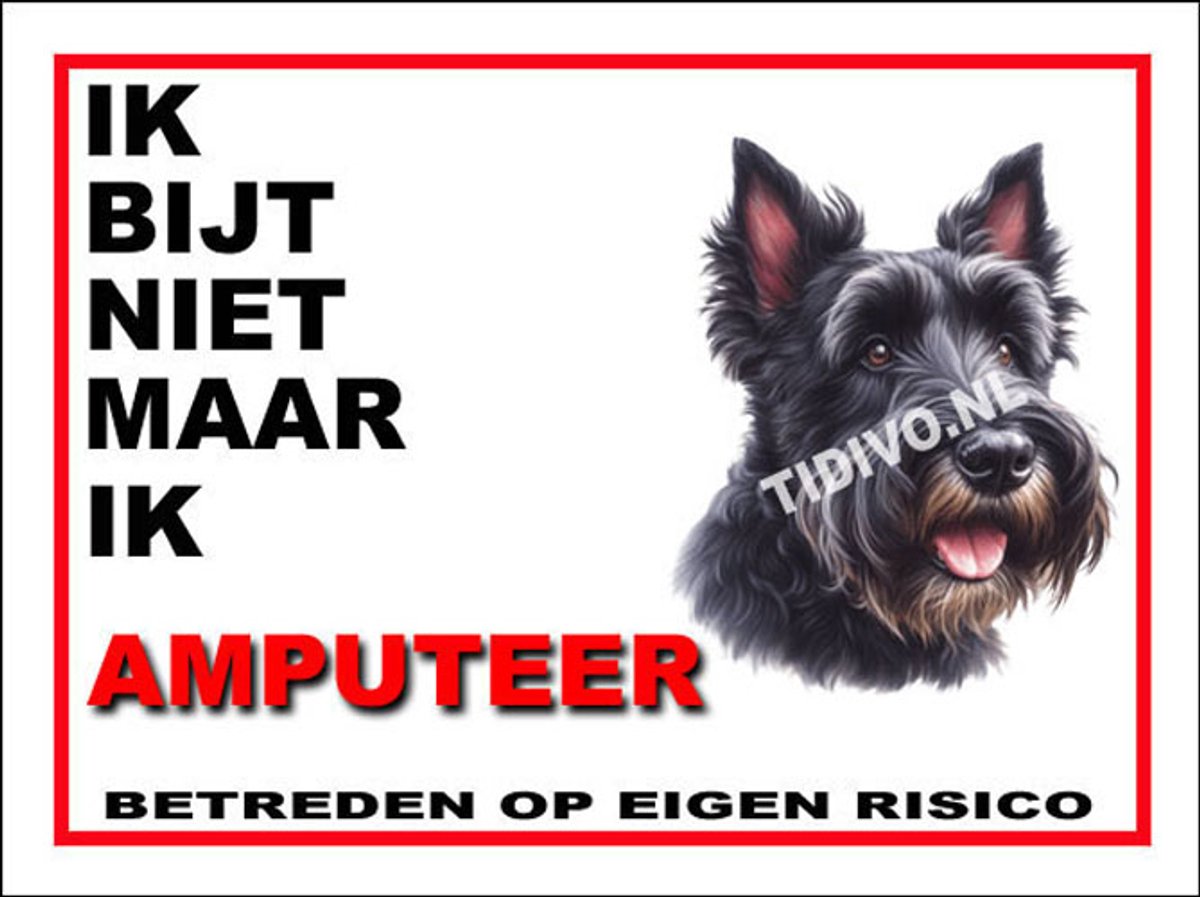 Schotsche Terrier 5