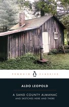 E-book