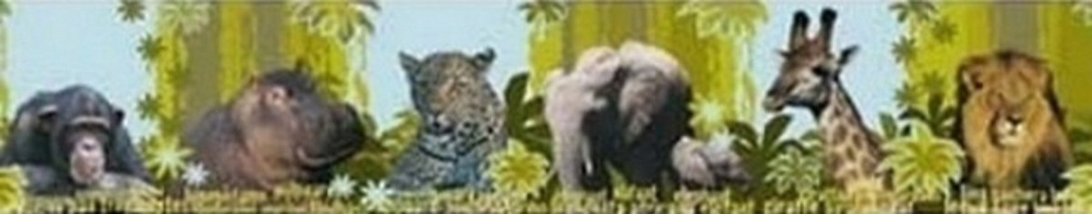 Wilde dieren behangrand stoer natuur NATIONAL GEOGRAPHIC