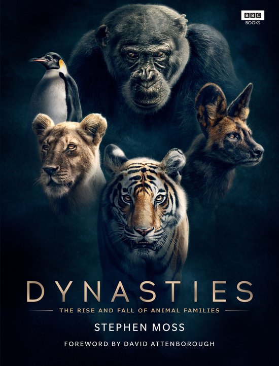 Dynasties - cover