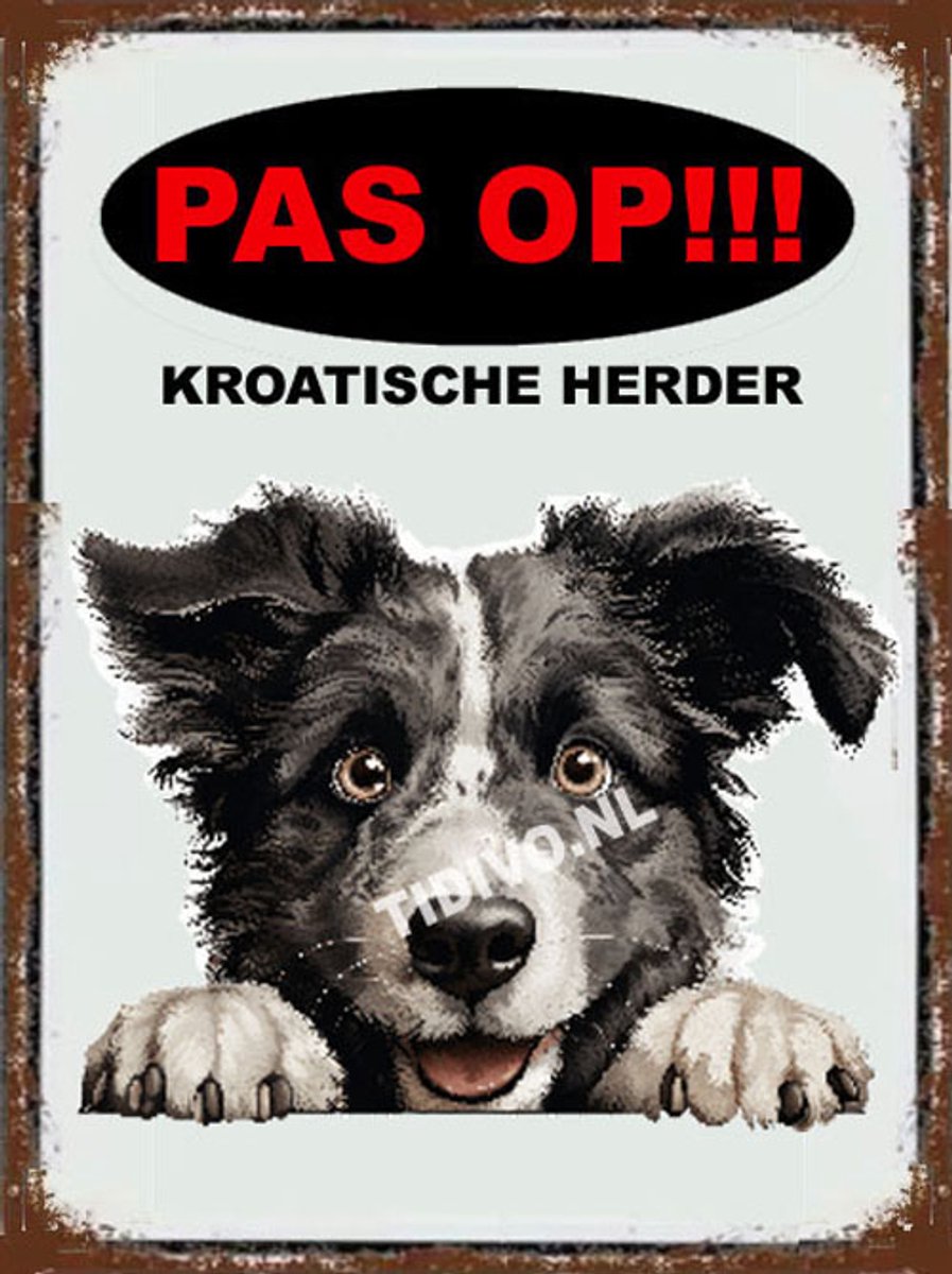 Kroatische Herder 17