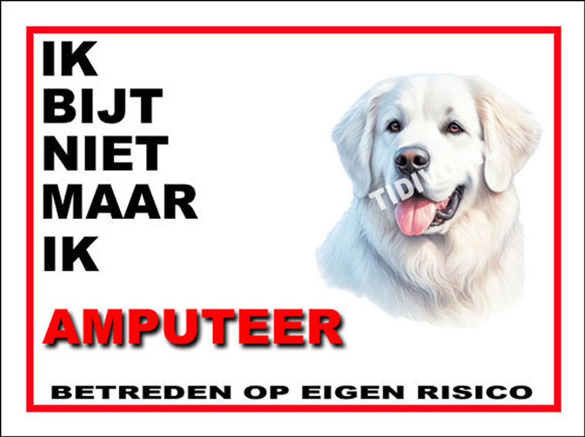 Kuvasz 5