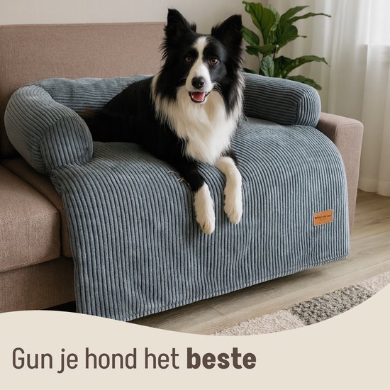 Zwarte en witte border collie zit op een grijze hondenbank van ribstof, op een bank.