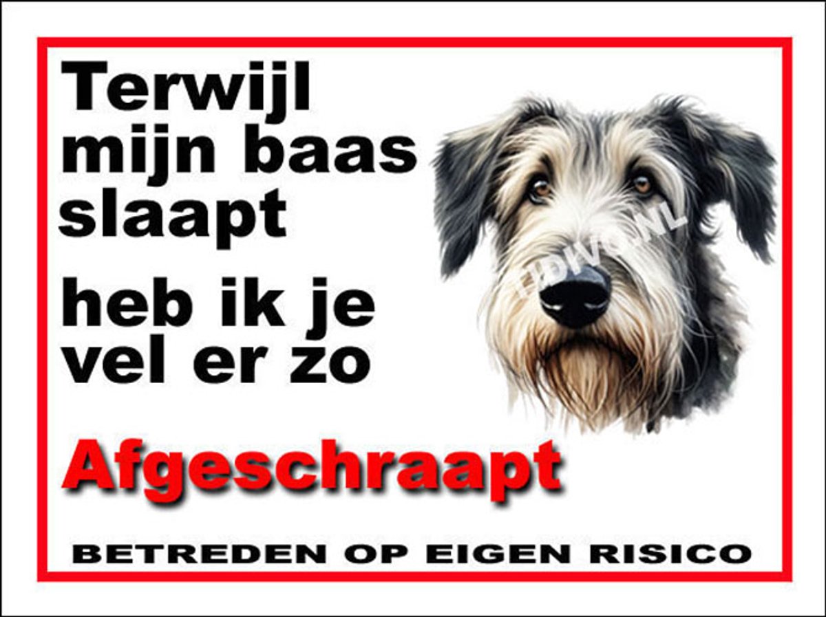 Ierse Wolfshond 15
