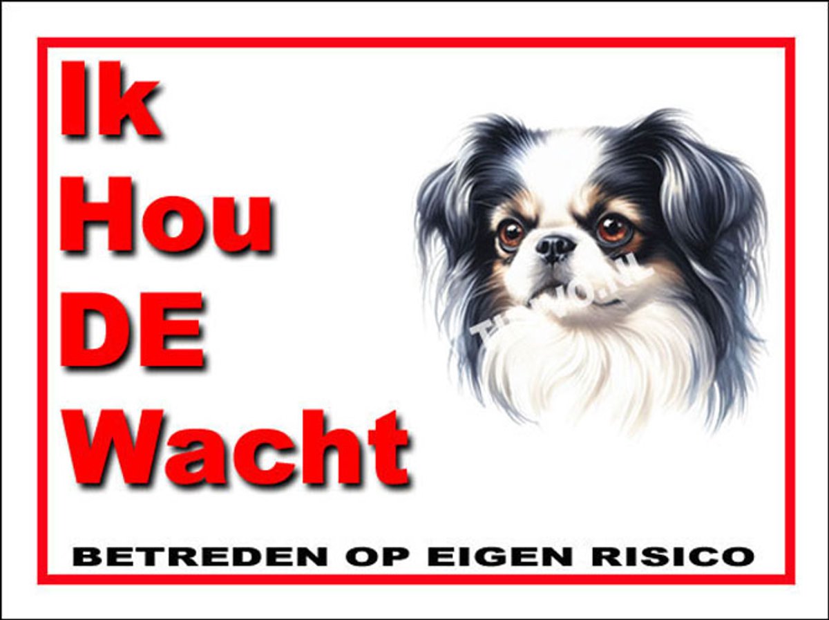 Japanse Spaniel 7