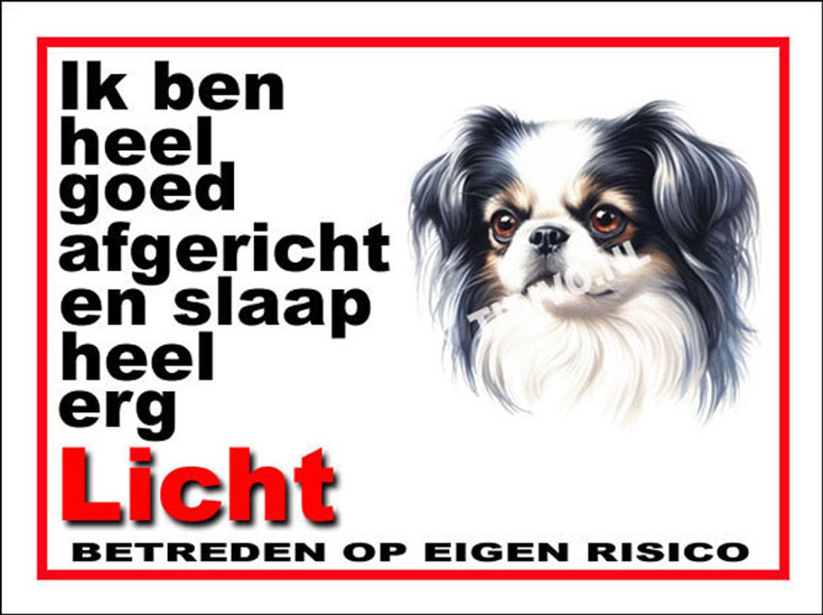 Japanse Spaniel 4