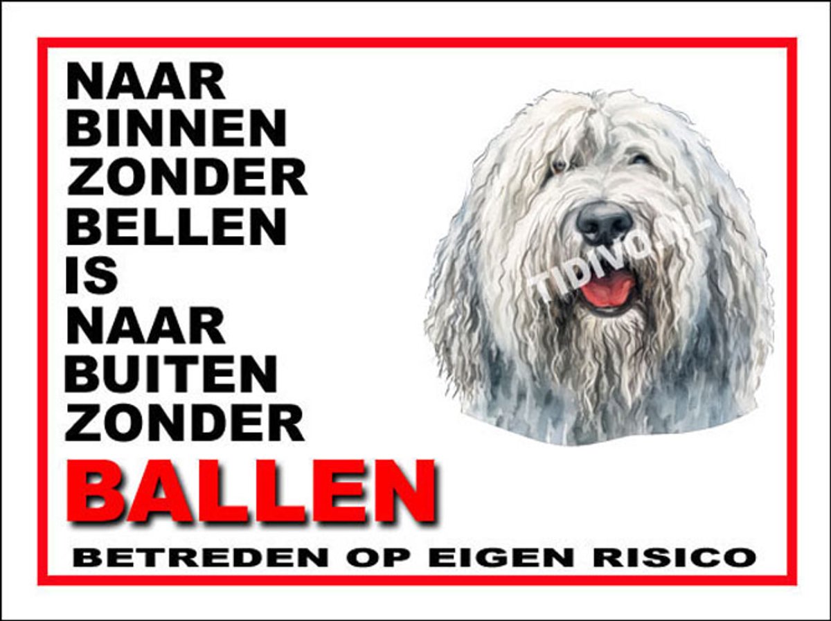 Komondor 11
