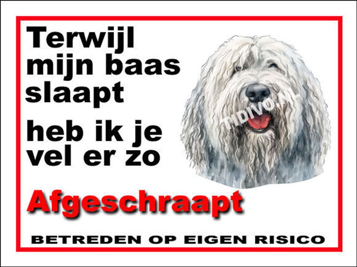 Komondor 15
