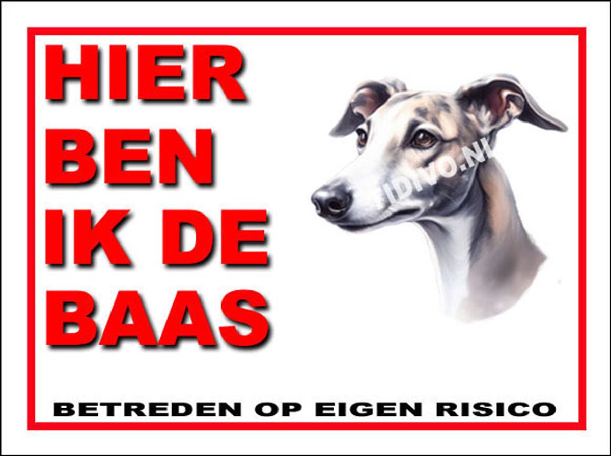 Greyhound 2