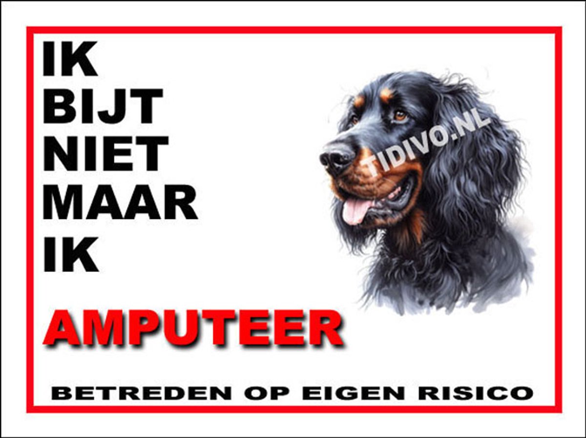 Gordon Setter 5
