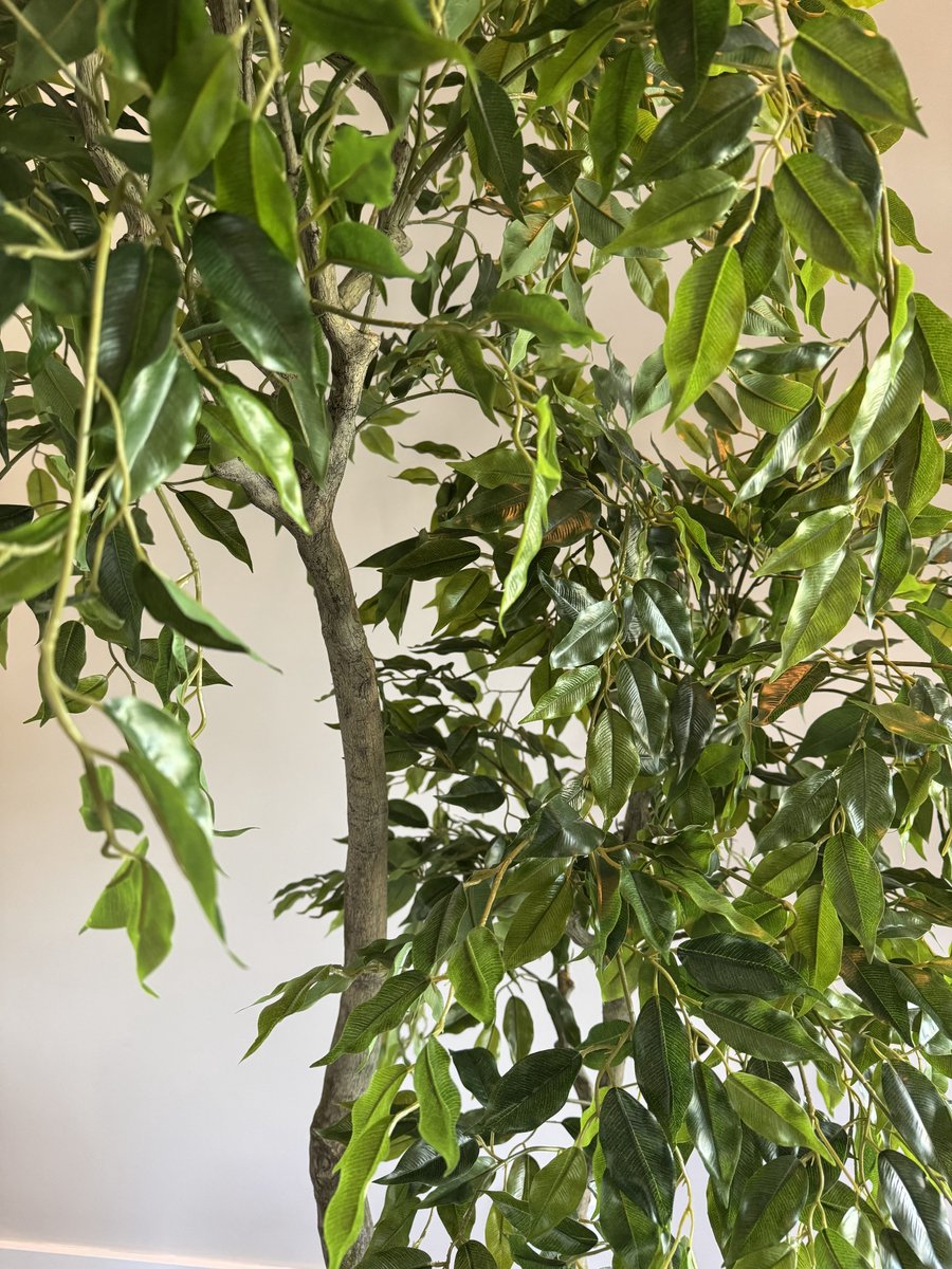 Zijden Ficus Benjamina – Kunstboom – 210 cm – Onderhoudsvrij – Groene Kunstplant