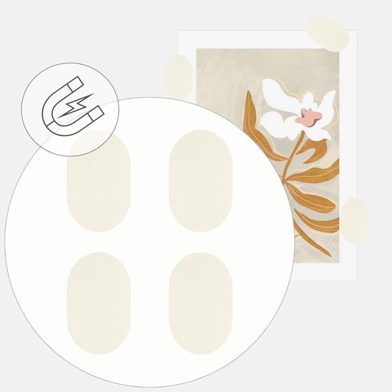 Handles and more – Leren Magneten Ovaal / Magneetjes - Creme – Set van 4 – 5,3cm