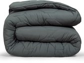 DoubleDry 2 in 1 Dekbed 240x200 - Lits Jumeaux wasbaar dekbed zonder overtrek - antraciet