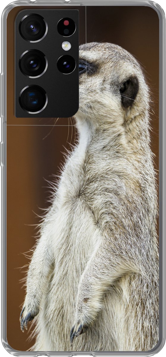 Telefoonhoesje Geschikt voor Samsung Galaxy S21 Ultra hoesje - Stokstaartje - Dier - Wild - Siliconen Telefoonhoesje Telefoonhoesje