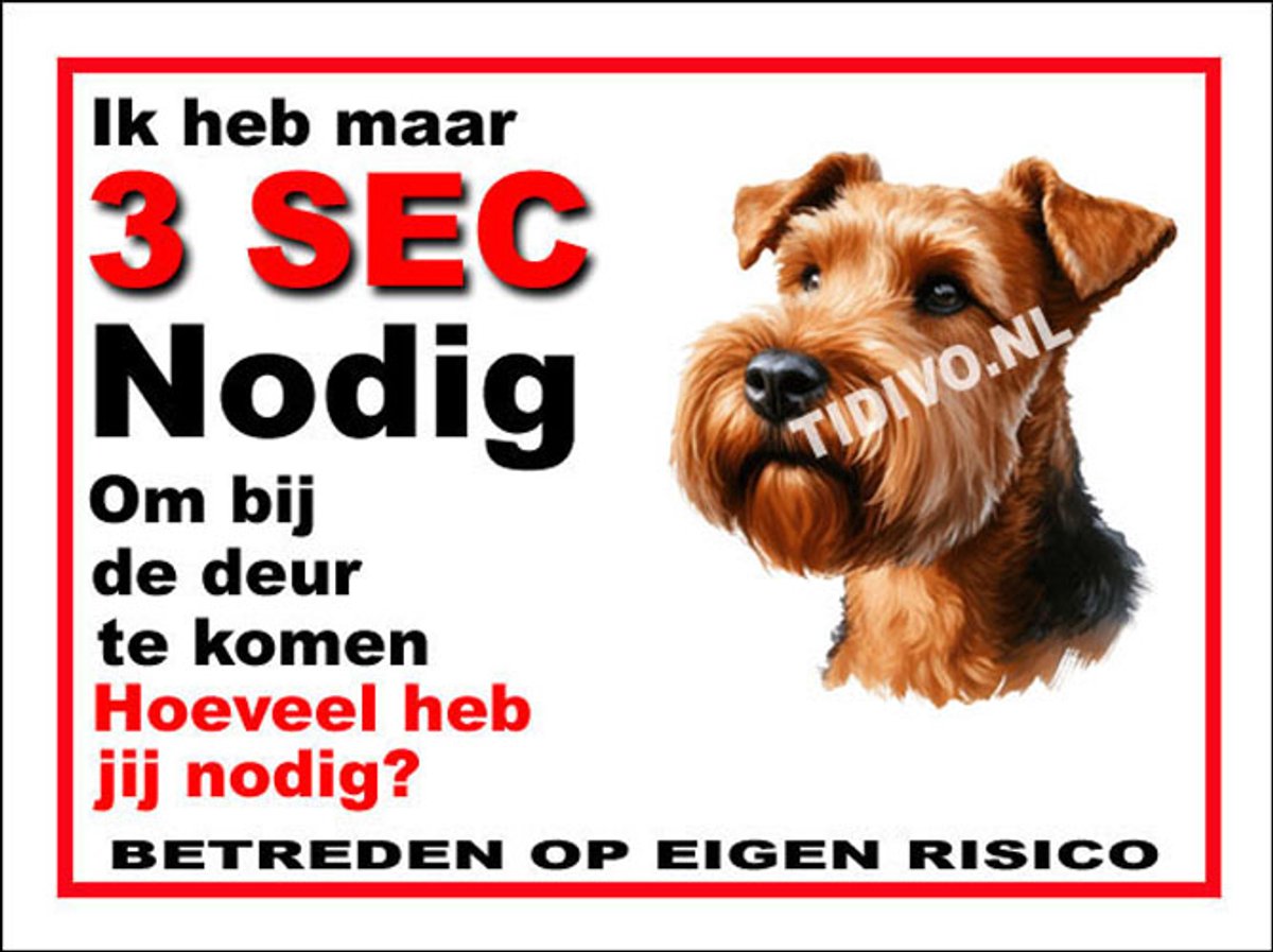Ierse Terrier 6