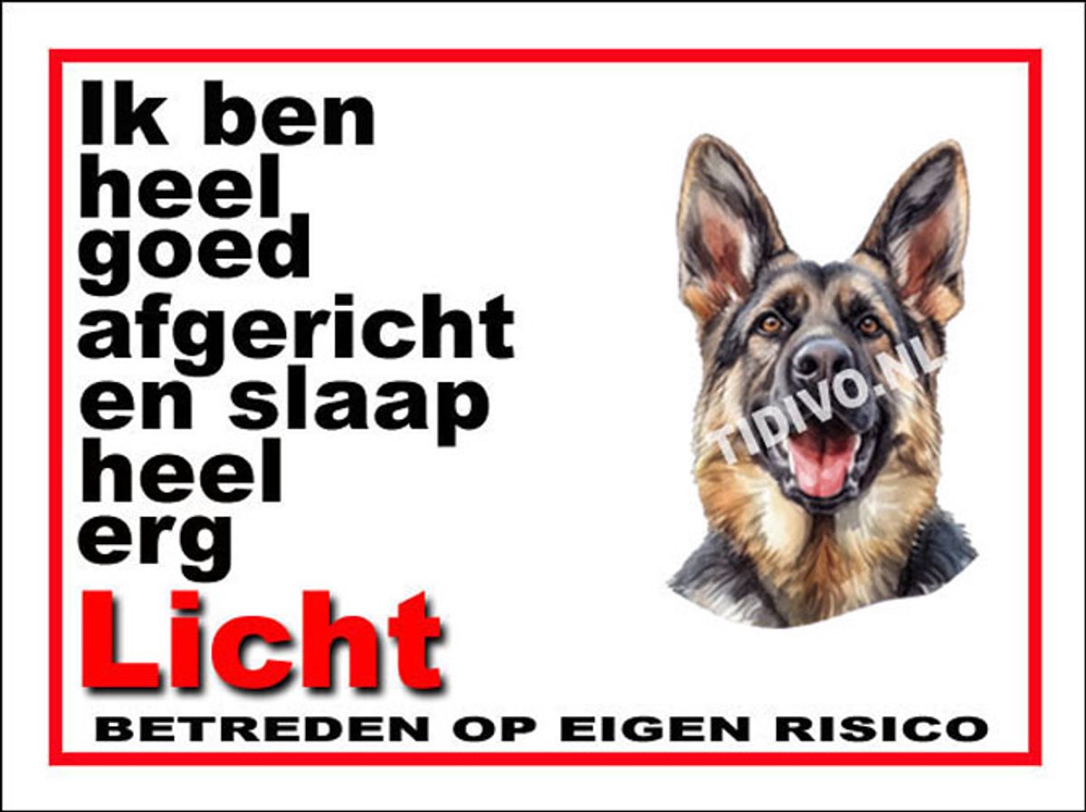 King Shepherd 4