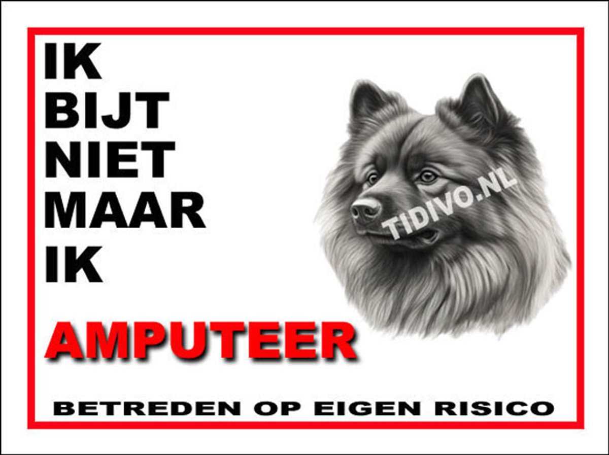 Keeshond 5