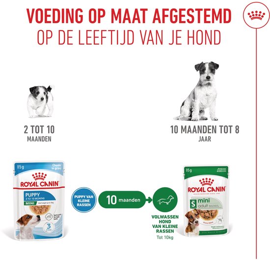 Hondjes van verschillende leeftijden met de bijbehorende Royal Canin voeding voor puppy's en volwassen honden.