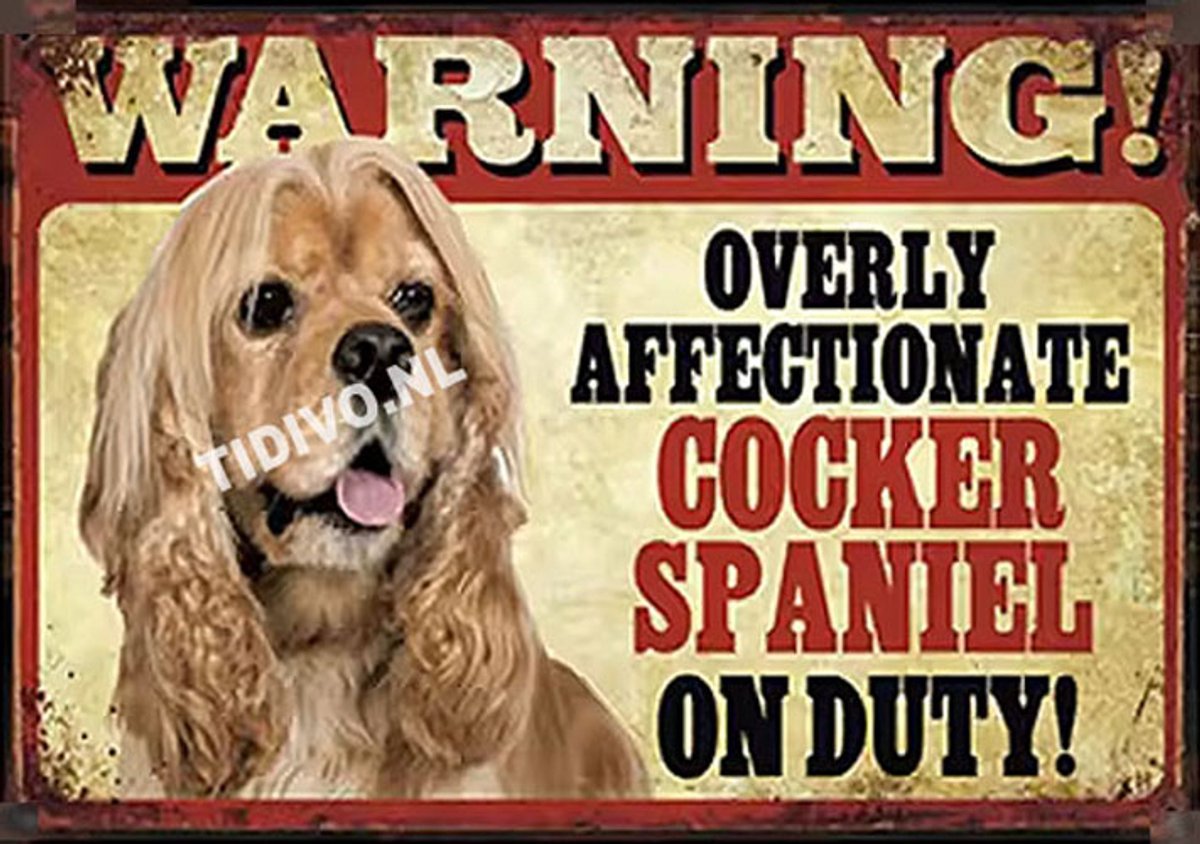 Cocker Spaniel 21