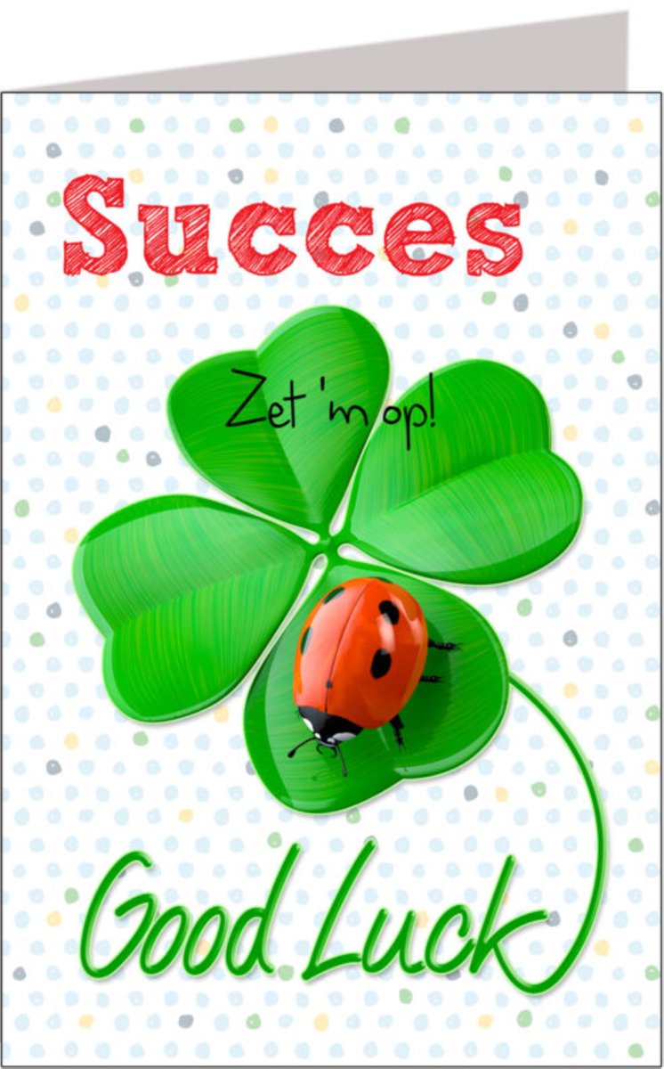 Wenskaart - Succes - Zet Hem Op - Good Luck - XL Formaat - Wit - Een Stuk - Met Envelop