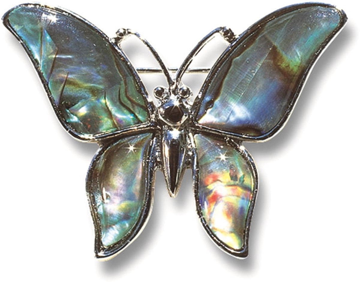 Broche vlinder met paua schelp