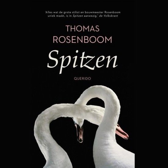 Spitzen - cover