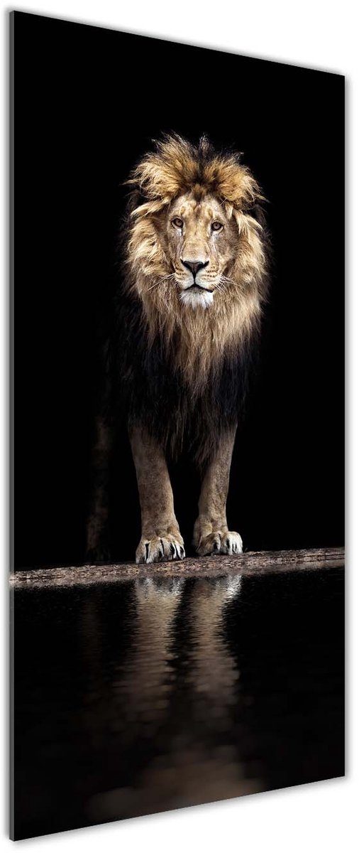 TULUP Glasschilderij - Glas Schilderij Portret Van Een Leeuw - 50 cm x 125 cm - Schwarz Foto In Glas - Foto Op Glas - Boheemse Glaskunst - Schilderij Op Glas - Glasdecoratie voor de Slaapkamer Schwarz Portret Van Een Leeuw